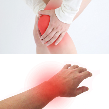 リウマチ科について